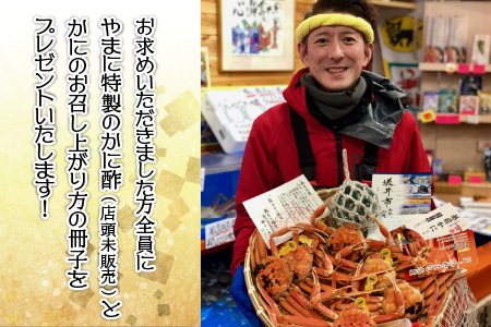 【先行予約】名人が茹でる とれたて指折れ越前がに(小) 2～3杯【11月発送分】 [C-4352_11]