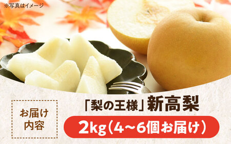 【先行予約】【10月上旬から順次発送】「梨の王様」特大新高 梨2kg（4個から6個入り） 愛媛県大洲市/幸野観光なし園 なし ナシ 梨 [AGBD001] なし ナシ 梨