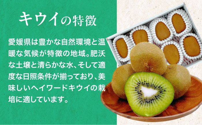 【先行予約】【2月上旬から順次発送】旬の果物のセット！愛媛県産 甘平とグリーンキウイのセット　愛媛県大洲市/株式会社フジ・アグリフーズ [AGBA011] 甘平 かんぺい キウイ きうい キューイ