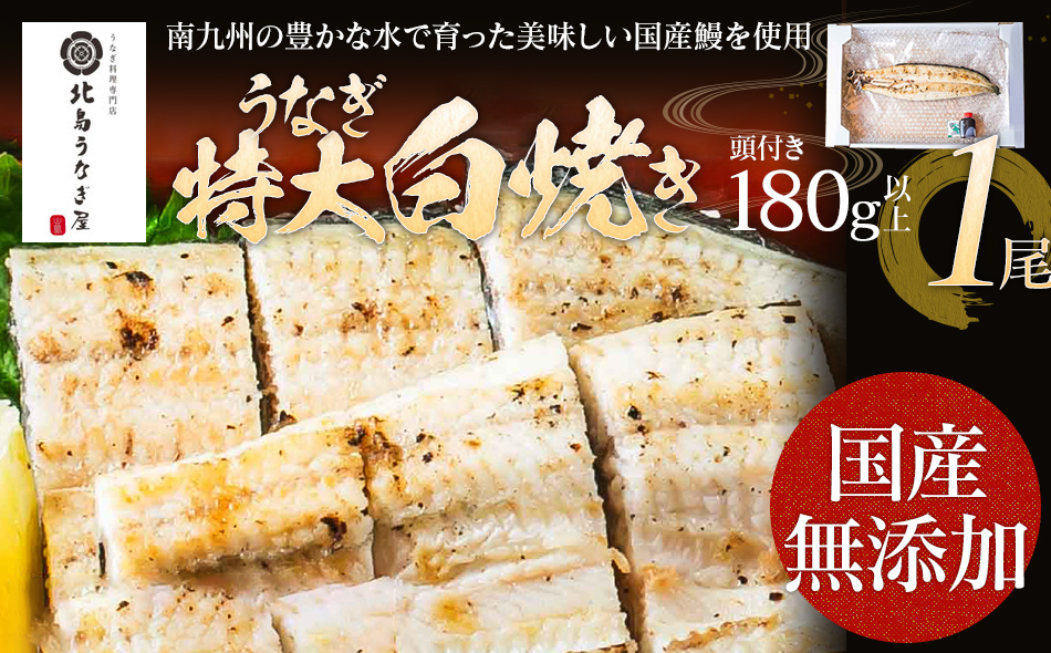 【丑の日1回目のお届け】うなぎの白焼（1尾）頭付き180g以上　AE02-u1