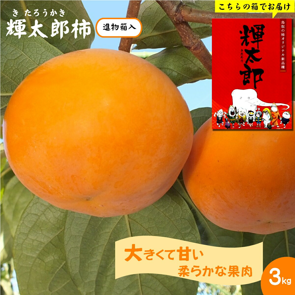 【ふるさと納税】先行予約【進物用】輝太郎柿 3kg(7～8玉) きたろうかき【24-015-011】JA鳥取西部 別所共同選果場 期間限定 先行受付 果物 フルーツ くだもの 旬 糖度 産地直送 ご当地 鳥取県産 鳥取県【10月上旬～10月下旬お届け】