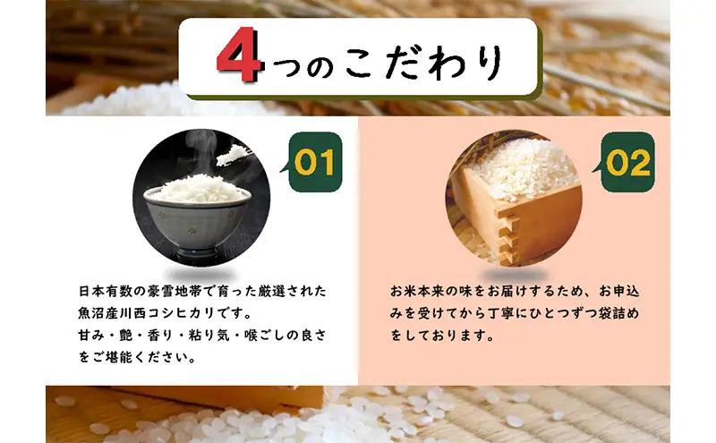 コシヒカリ 従来品種 魚沼産 5kg 精米 コシヒカリ
