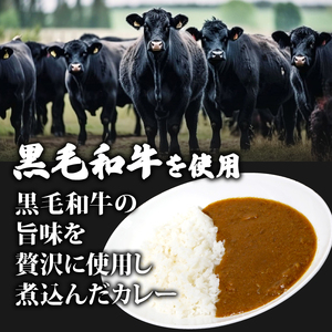 黒毛和牛 牛すじ恋カレー 200g×5P 冷凍 宮崎牛 和牛 トロトロ すじ肉 牛スジカレー フローズンフード 簡単調理 ギフト 小分け 個包装 おつまみ レトルト 保存 冷凍 簡単調理 牛すじカレー