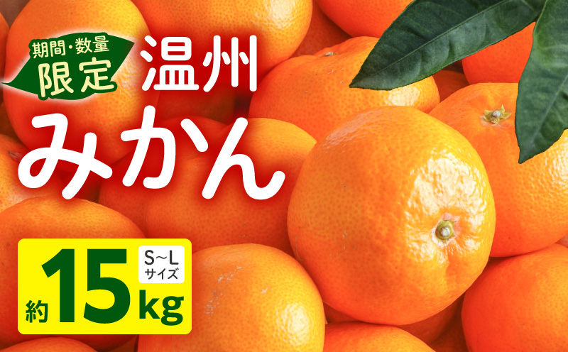 《2026年～2027年発送先行予約》【数量・期間限定】温州みかん15kg 果物 温州みかん みかん ミカン 糖度11度以上 ネイバーフッド 柑橘