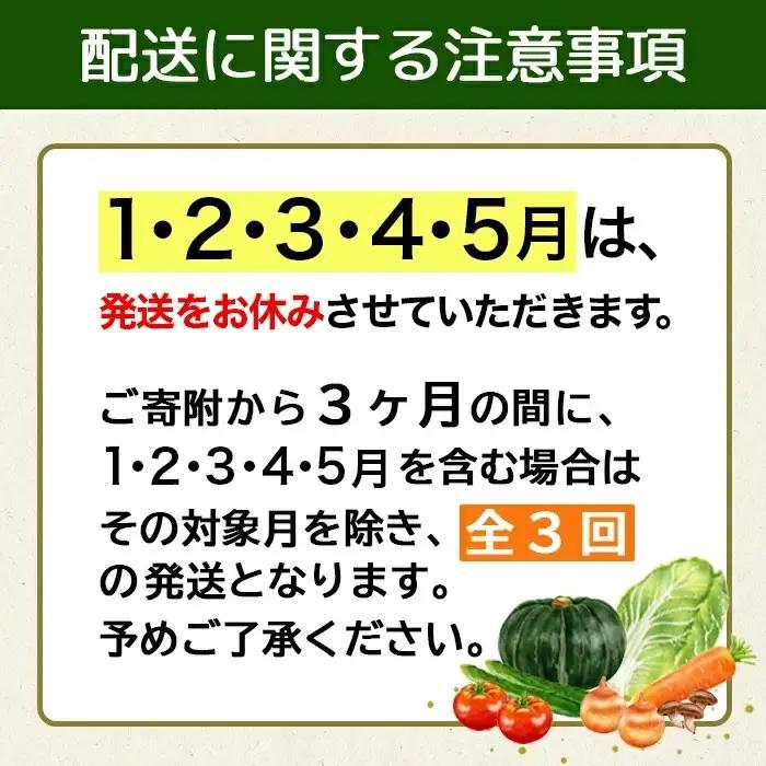 【ふるなびWEEK対象】【3回定期便】野菜定期便 野菜セット 3ヶ月 3回 （毎回10種類前後発送）