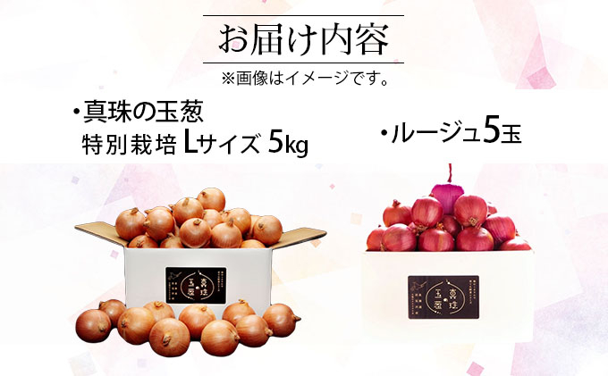 真珠の玉葱 特別栽培 L～L大サイズ 5kg (ルージュ5玉入り) ＜海のミネラルで育てた特別栽培玉葱＞｜玉ねぎ たまねぎ タマネギ 北海道産 岩見沢市【a134-008】【50108】
