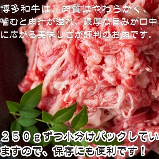 AE322.訳あり！博多和牛A4～A5ランク切り落とし750g（250g×3）【博多和牛】