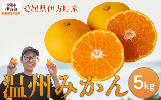 【先行予約】【数量限定】温州みかん5kg（石崎農園）※離島への配送不可 （2025年11月25日より順次発送予定） IKTAG001 