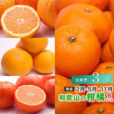 ふるさと納税 和歌山市 【発送月固定定期便】季節の柑橘定期便B【フルーツ定期便】【和歌山県有田】全3回