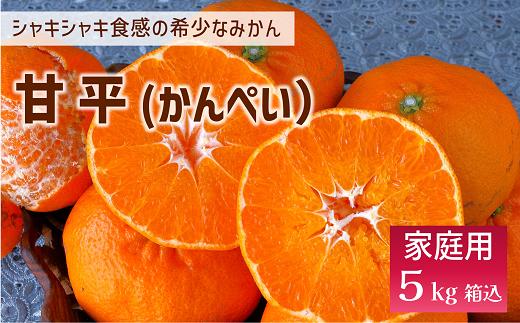 
            甘平 みかん 愛媛 バラ詰め 約5kg 人気 数量限定 先行予約 【2026年2月上旬以降発送】 柑橘 愛媛県産 伊予市｜C131
          