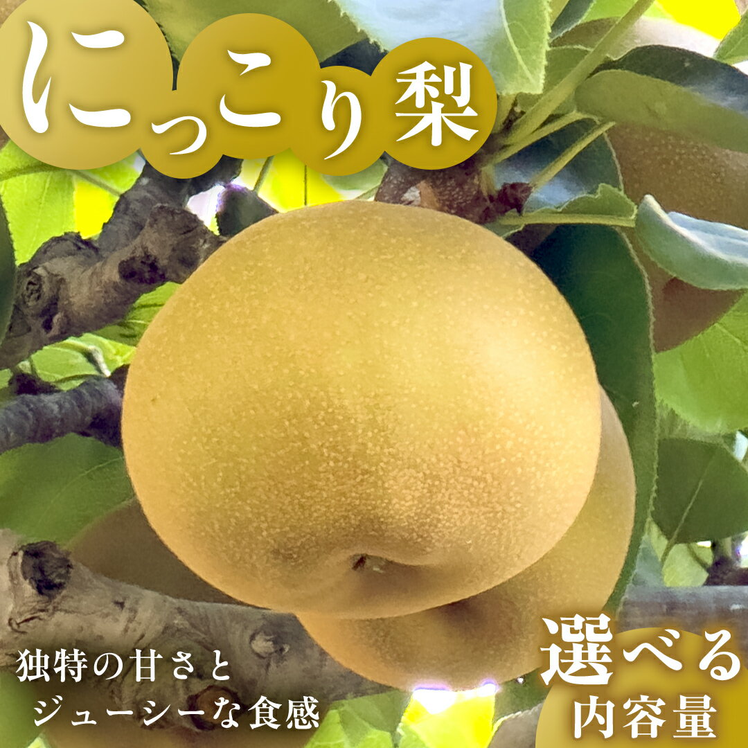 【ふるさと納税】独特の甘さ ジューシーな食感 「 にっこり 」( 選べる 内容量 ) 3kg 5kg 梨 減農薬 果物 フルーツ なし ナシ 和梨