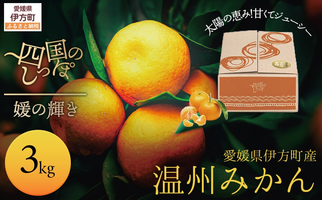【愛媛県伊方町産】太陽の恵み！甘くてジューシーなみかん 媛の輝き 3kg（2025年11月下旬頃より順次発送） IKTE005