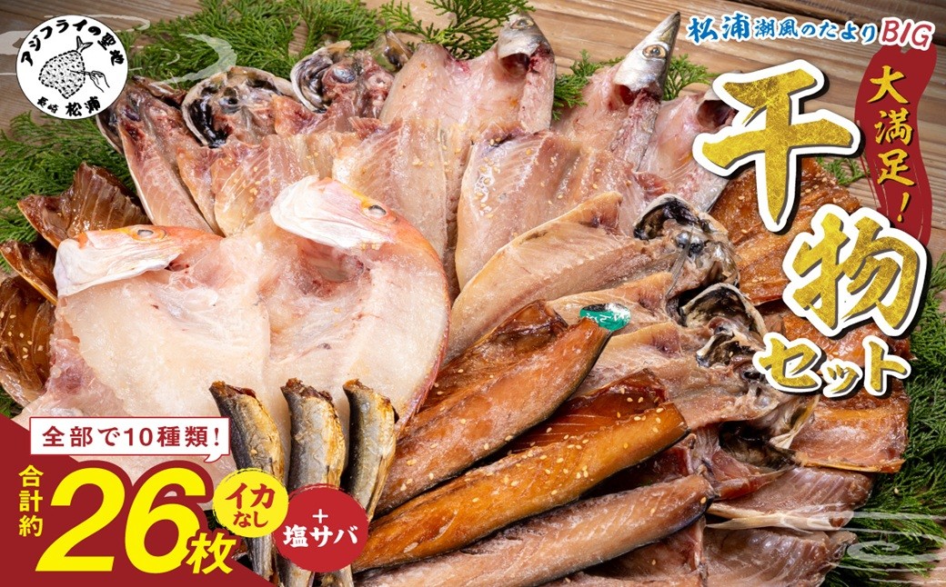 
                  松浦・潮風のたより Ｂｉｇ【イカなし＆サバ増量】 ( 松浦市 アジ サバ カマス レンコダイ 干物 アジ開き サバフィレ 一夜干し 詰め合わせ )【003-0013】
                