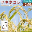 【ふるさと納税】《定期便10ヶ月》【白米】令和6年産 サキホコレ2kg×10回 計20kg 精米 特A評価米 秋田県産