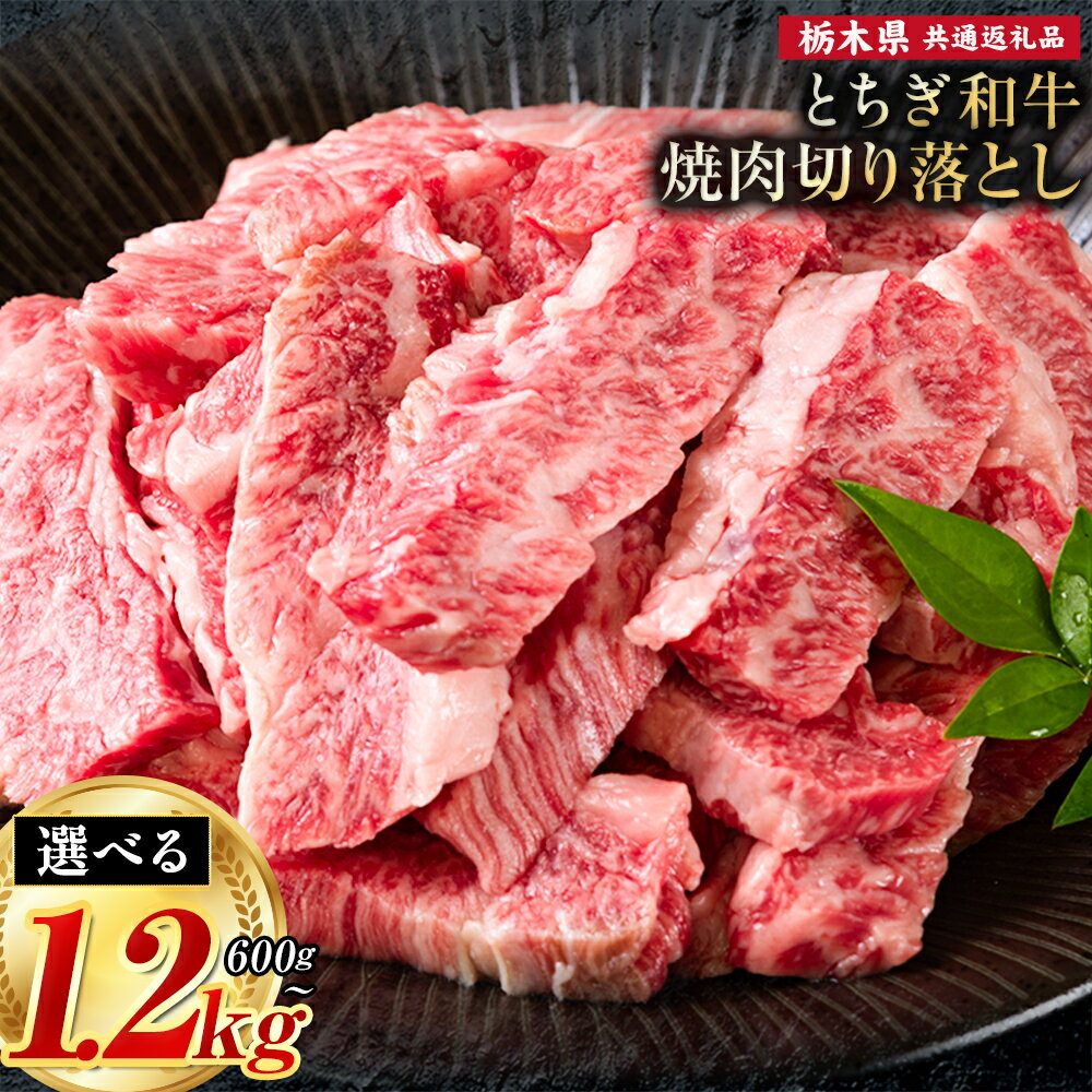【ふるさと納税】黒毛和牛 とちぎ和牛 焼肉　切り落とし A4～A5等級 選べる 霜降り 赤身 ステーキ 極上 600g 900g 1200g 数量限定 牛肉 冷凍 《30日以内に出荷予定(土日祝除く)》 冷凍庫 個別 1kg以内 1kg以上 ブランド牛