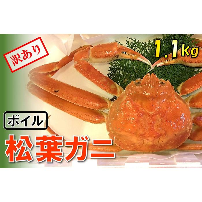 【ふるさと納税】【魚倉】足1本なしボイル松葉ガニ (特特大1,100g) 訳あり | 鳥取　かに　蟹