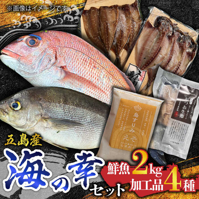 【ふるさと納税】【五島列島直送】五島の海の幸セット 五島市 / 鯛福丸水産[PDP009] 魚 鮮魚 セット 海鮮 直送 さかな 詰合せ 冷蔵
