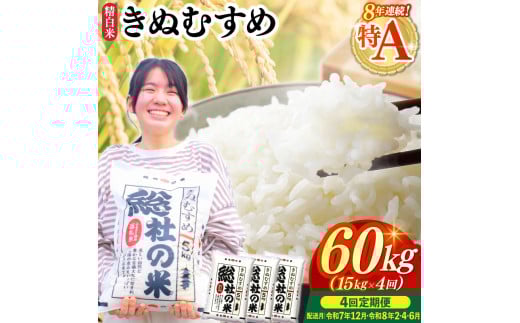 【令和7年産米】特Aきぬむすめ【精白米】60kg 定期便（15kg×4回）岡山県総社市〔令和7年12月・令和8年2月・4月・6月配送〕25-120-008