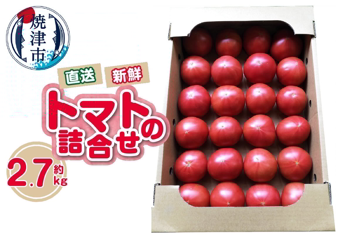 
            a11-120　トマト　詰合せ　約2.7kg　農園　直送　新鮮　農家
          