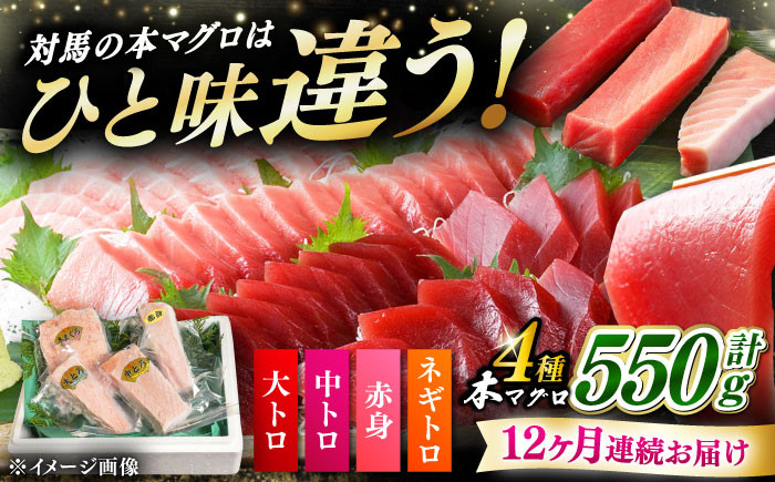 
                  【全12回定期便】対馬産 本マグロ 4種 計550g（赤身/中トロ/大トロ/ネギトロ）《対馬市》 【対海】[WAH017] マグロ まぐろ 鮪 本鮪 本マグロ 養殖 トロ 中トロ 中とろ 大トロ 大とろ 赤身 ねぎとろ ネギトロ たたき 刺身 冷凍 海鮮 魚 柵 お祝い 贈答 定期便 毎月届く
                
