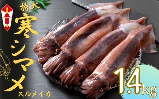 【のし付き スルメイカ丸ごと】朝どれ寒シマメ 丸ごと4杯セット いか イカ スルメイカ 父の日 母の日 バーベキュー ギフト