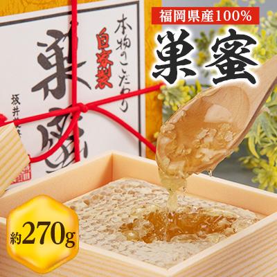 ふるさと納税 大牟田市 国産巣蜜(コムハニー)