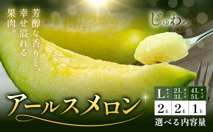 
            アールスメロン 1玉 2玉 Lサイズ/2L～3Lサイズ/4L～5Lサイズ 選べるメロンのサイズ メロン《4月上旬～11月中旬に順次発送予定》熊本県 菊池市 果物 フルーツ 青果物 菊池市産 熊本県産 九州産 国産 送料無料
          