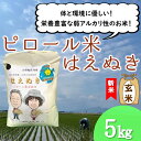 【ふるさと納税】【玄米】九代目又七のピロール農法米はえぬき5kg（令和6年産新米予約）