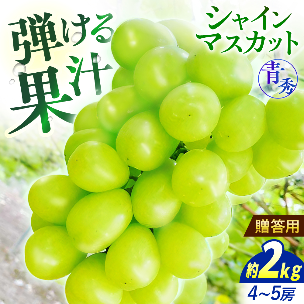 【先行予約】＜9月中旬から順次発送＞ぶどう シャインマスカット 2kg（4房から5房 青秀） 露地栽培 シャインマスカット マスカット 果物 フルーツ ぶどう 葡萄 三次市/西田ぶどう園 [APCM004]