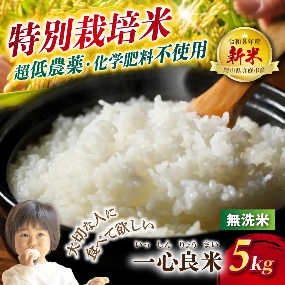 特別栽培米 令和８年産 減農薬コシヒカリ5kg 特別栽培米 【tkns011-02-cho】