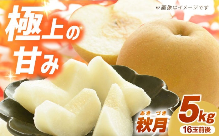 
            【先行予約】【数量限定】秋月（梨）約5kg（16玉前後 L～3L）ー2026年9月より発送ー 長与町/溝上農園 [EBY003] 長崎県産 長与町 先行予約 産地直送 大容量 フルーツ 果物 梨 なし ナシ 秋月 あきづき 大容量 5kg お取り寄せ
          