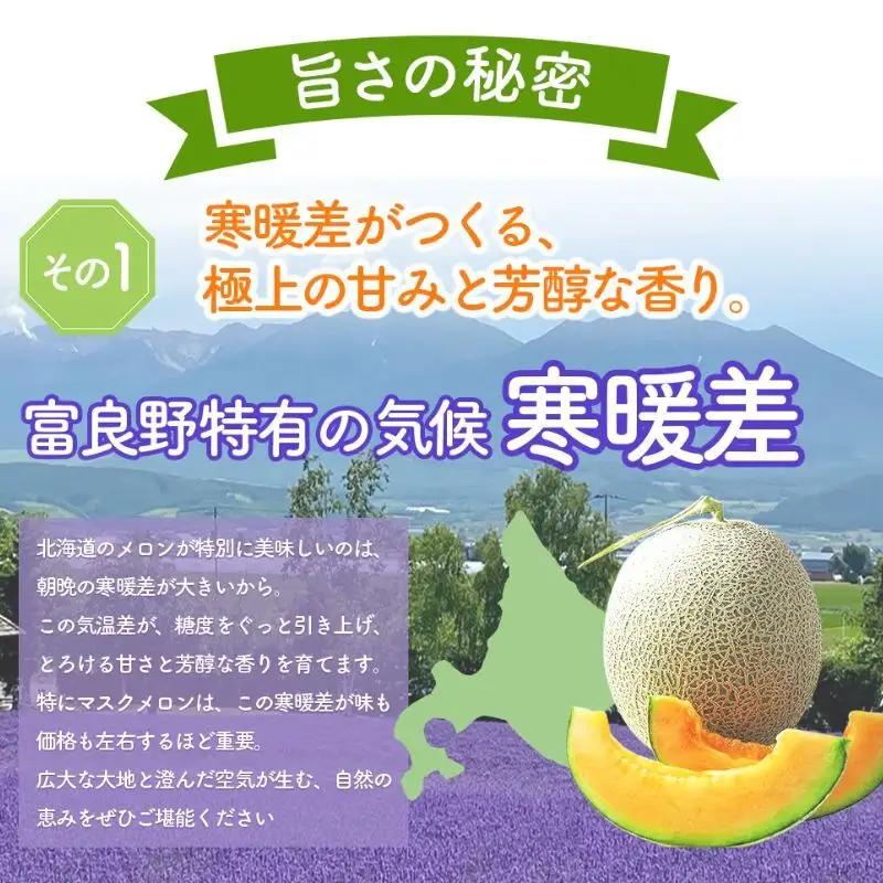 【2026年夏発送】北海道 富良野 メロン 3Lサイズ 2玉 計約4kg フルーツ 果物