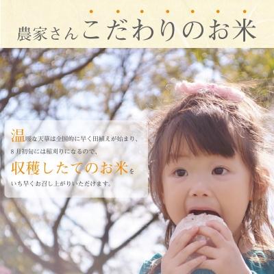 ふるさと納税 天草市 【令和7年産】新米コシヒカリ 精米 5kg_S050-007A |  | 01