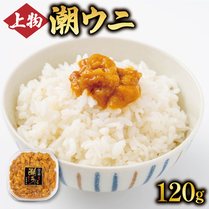 潮ウニ 120g 冷凍 ＼ うに ／