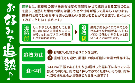 七城の恵み 詰め合わせ こだわりRed 自然栽培米 ヒノヒカリ 2kg 春風レッド メロン 1玉 株式会社七城の恵み《5月上旬から5月下旬に出荷開始》熊本県 菊池市 米 メロン ひのひかり つるたファ