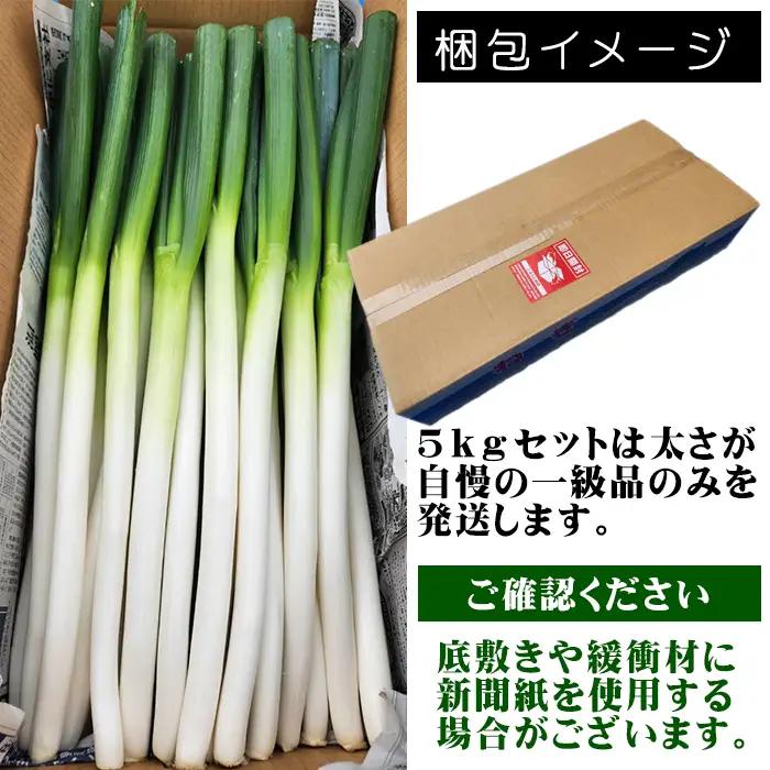 雫石町極楽野 長ねぎ 5kg以上（目安本数：約25本～35本）土なし｜新鮮野菜を産地直送！「高橋農園」