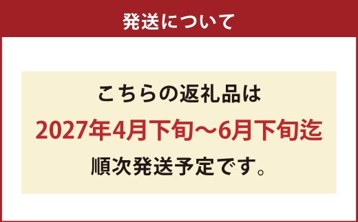 『 まるで火の国くまもとの太陽のような大玉スイカ 』 1玉 ( 熊本県産 ) 果物 フルーツ 果実 果汁 果肉 国産 季節の果物 旬の果物 【 2027年4月下旬～6月下旬迄発送予定 】