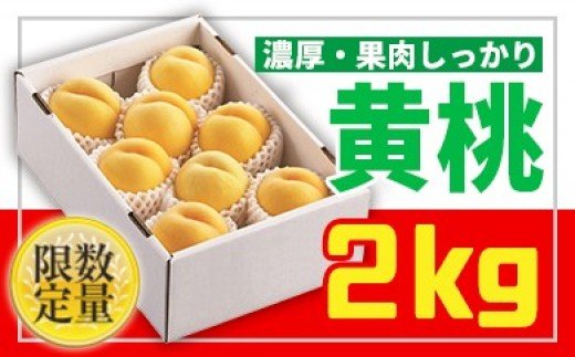 ★山形黄桃★黄桃秀品2kg[かための桃] FS24-680