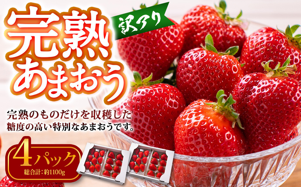 
【訳あり】完熟あまおう 約275g×4パック 合計約1.1kg 【2025年3月下旬出荷予定】いちご 苺 イチゴ 果物 フルーツ
