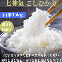 【ふるさと納税】【新米：令和6年産】七神氣こしひかり (有機栽培) 白米 10kg 滋賀県長浜市/七神氣　金子嘉徳 [AQCN002] 米 お米 白米 新米 10kg ※着日指定不可