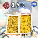 【ふるさと納税】 うに ウニ 生うに 雲丹 紫うに 赤うに 板ウニ 1枚 約50g 冷蔵 角島産 下関 唐戸市場 直送