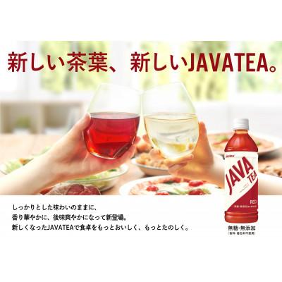 ふるさと納税 湖南市 大塚食品 シンビーノ ジャワティ ストレートレッド 500mlペットボトル×24本入 |  | 01