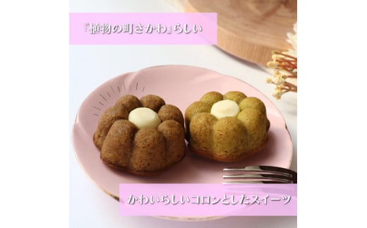 ＜さかわティグレ＞10個 　焼き菓子 個包装 フィナンシェ マドレーヌ 佐川茶 焙じ茶 ほうじ茶 ギフト プレゼント 化粧箱入 菓子職人手作り 保存料不使用 ホワイトチョコレート ガナッシュ 牧野富太