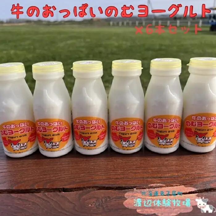 牛のおっぱいのむヨーグルト６本セット 1853
