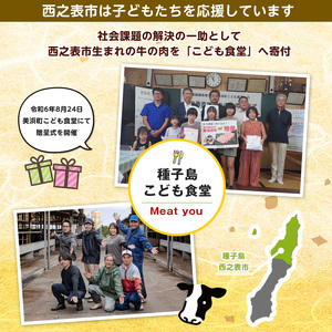 種子島 生まれ！ 黒毛 和牛 BBQ 焼肉セット 1kg　NFN547 【1425pt】 