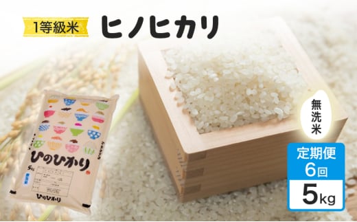 定期便 6回 米 1粒からこだわる 1等級米 ヒノヒカリ 無洗米 5kg お米 コメ お楽しみ 6ヶ月 令和7年度産
