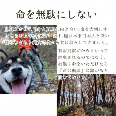 ふるさと納税 御代田町 長野県産鹿肉ジビエ　鹿肉ミンチ　500g×2袋 |  | 03