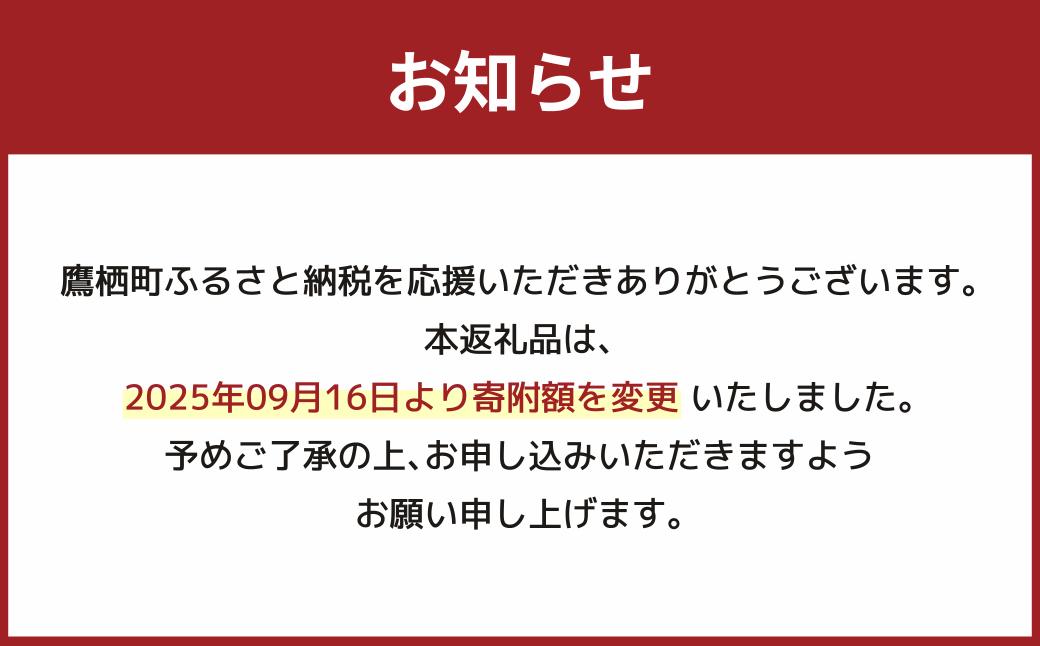 【令和7年産】 ゆめぴりか (精白米) 北海道 米 を代表する人気の品種 真空パック 5kg×2袋 10kg