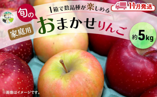 【11月発送】 家庭用 旬のりんご 品種おまかせ 約 5kg 2品種～4品種 りんご