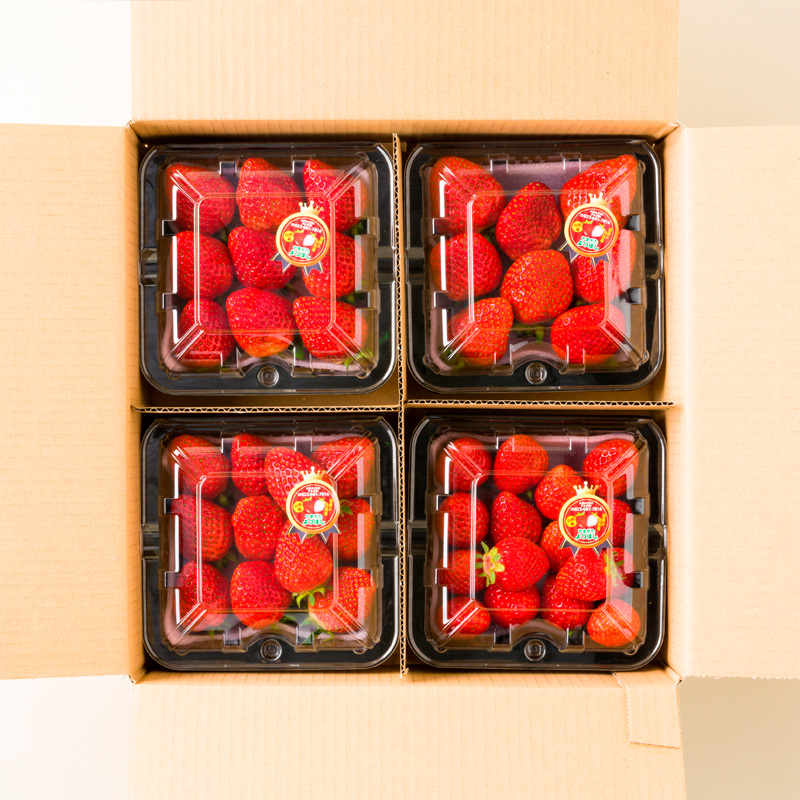 山形の朝摘みいちご よつぼし 約800g FY25-030